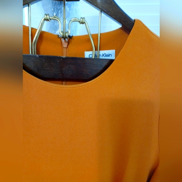NWT CALVIN KLIEN Size 8 Tailored Pleated Fitted Orange Dress - Picture 6 of 6